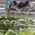 The Power of Volunteering in Youth Programs in Southeast Florida